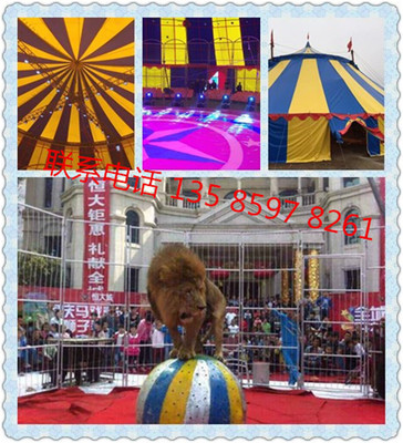 贵阳哪里有马戏团表演怎么联系马戏团演出什么价钱