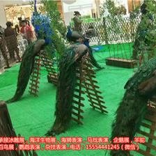 黑龙江双城市马戏团表演租赁出租羊驼