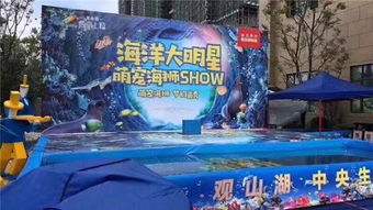 郏县杂技马戏团表演动物主题暖场活动