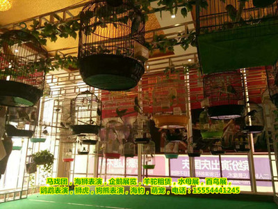 皇家马戏团出租|上海市-企汇网