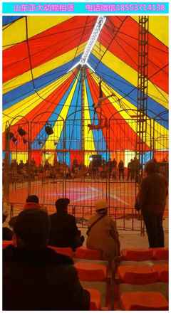 皇家马戏团表演出租价格多少 海狮企鹅羊驼出租 萌宠出