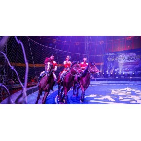 马戏团出租 河北马戏团杂技
