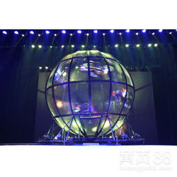 【皇家马戏团主题表演出租杂技表演萌宠表演环球飞车整套方案租赁】-