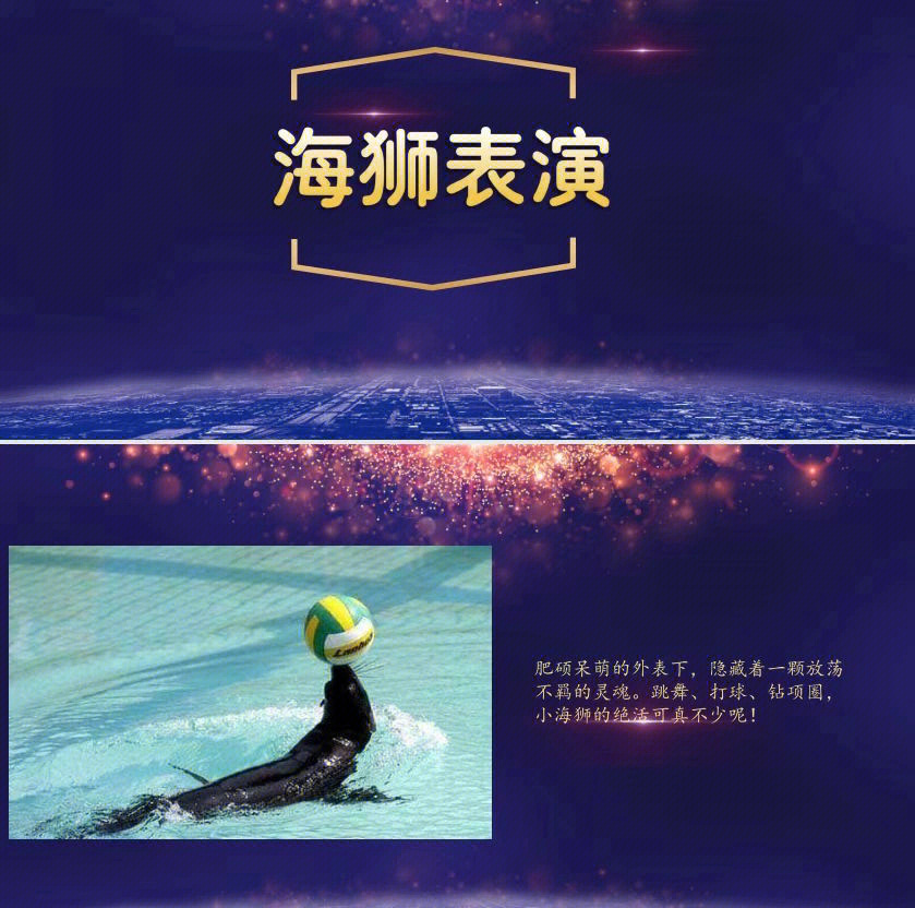 大飞轮表演租赁 #马戏团高空杂技表演出 - 抖音