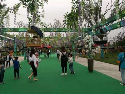 辽宁省本溪出租各类萌宠动物展