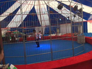 成都美人鱼表演租赁合作流程