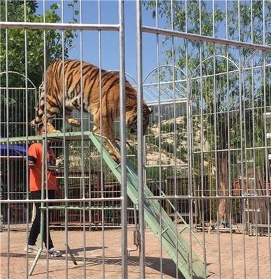 吉林省海洋生物鱼缸展出租