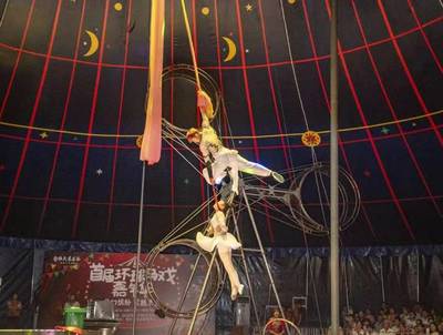 小型马戏团出租 合作马术马戏团表演