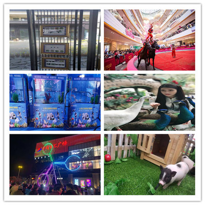 三明美人鱼表演出租租赁