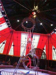 马戏团表演出租暑假更优惠