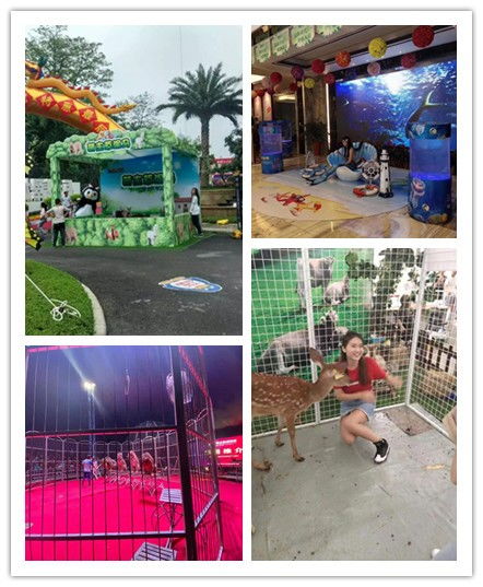 甘肃合作市杂技表演出租马戏团百鸟展