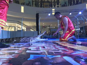 烟台市马戏团租赁小丑猛兽动物表演租赁