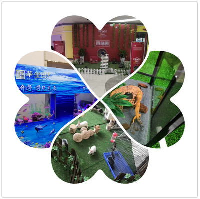 海狮表演出租现有档期出租海狮表演的丰富多彩2022【今日热点事件】