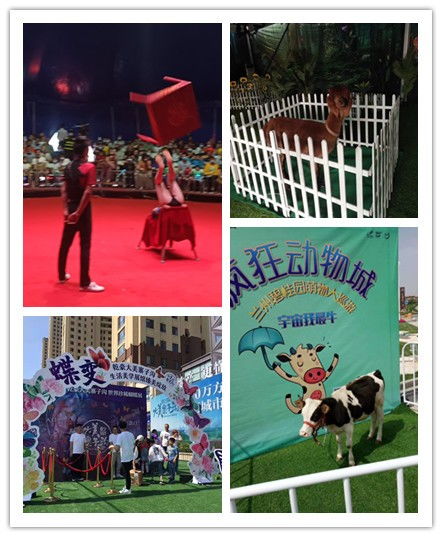 湖南衡阳市哪有租赁马戏团表演的萌宠