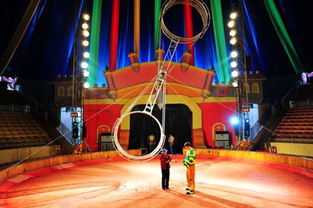 海洋生物展马戏团表演出租