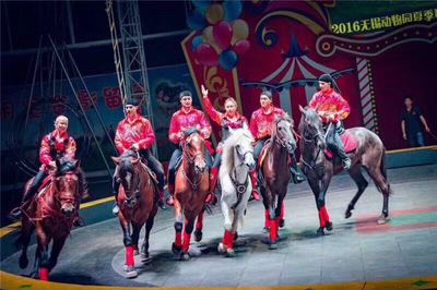 租赁动物皇家马戏团商业庆典互动暖场