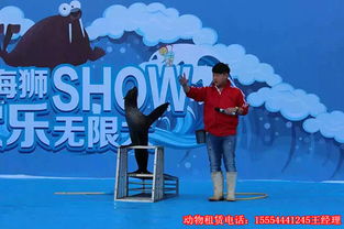 马戏表演什么价格重庆马戏团表演租赁7天多少钱