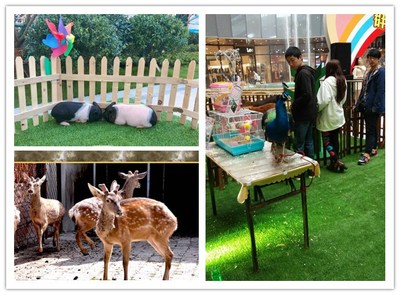 大马戏表演节目大全