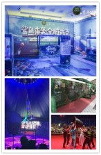 阜阳市百鸟园出租租赁马戏团