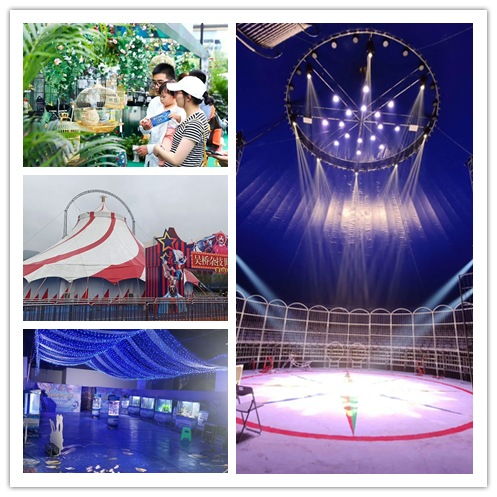 即墨市出租海狮表演