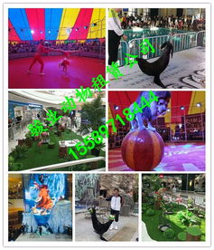 广安市小动物表演鹦鹉演出专业公司