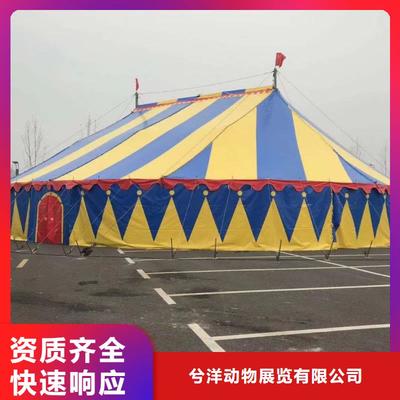 马戏团/羊驼【海狮表演出租】实力公司