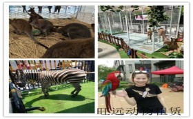 河南泌阳租赁马戏团表演价格有没有