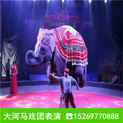 汕头海狮表演出租