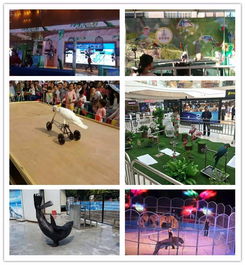 成都马戏团表演出租新闻ht租赁圈资讯