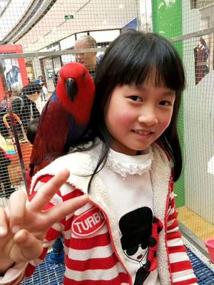 出租马戏团表演哪里有新闻HT租赁圈资讯通辽