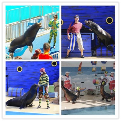 ---湘西奇幻海洋生物水母鱼缸展租赁为您量身定制2022已更新(今天/资讯)