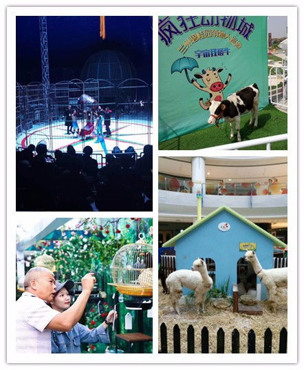 南康市租赁马戏团表演附近