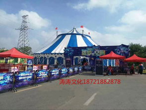 【房地产营销活动需要海狮表演租赁皇家马戏团表演巡演出租百鸟园展览】-