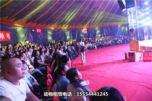 出租马戏团演出惠州