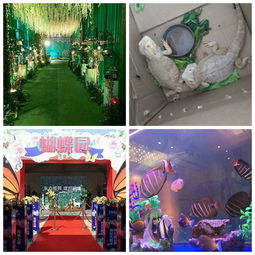 上海会吸引人气的动物有哪些新闻资讯aa莅临详谈