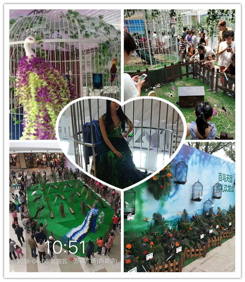 灵武出租海狮表演