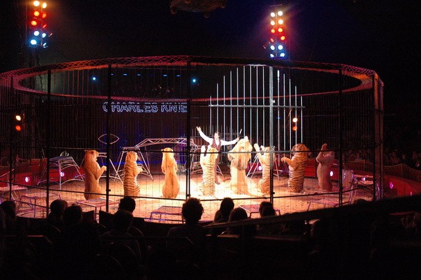 常年供应马戏团杂技表演环球飞车杂技表演萌宠杂技租赁图片_高清图_细节图