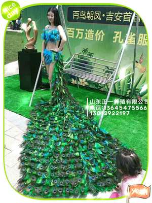 河池海洋展哪里有出租租赁的