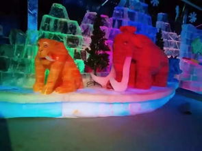 南昌互动科技展一手现货出租出售,新颖冰雕展租赁