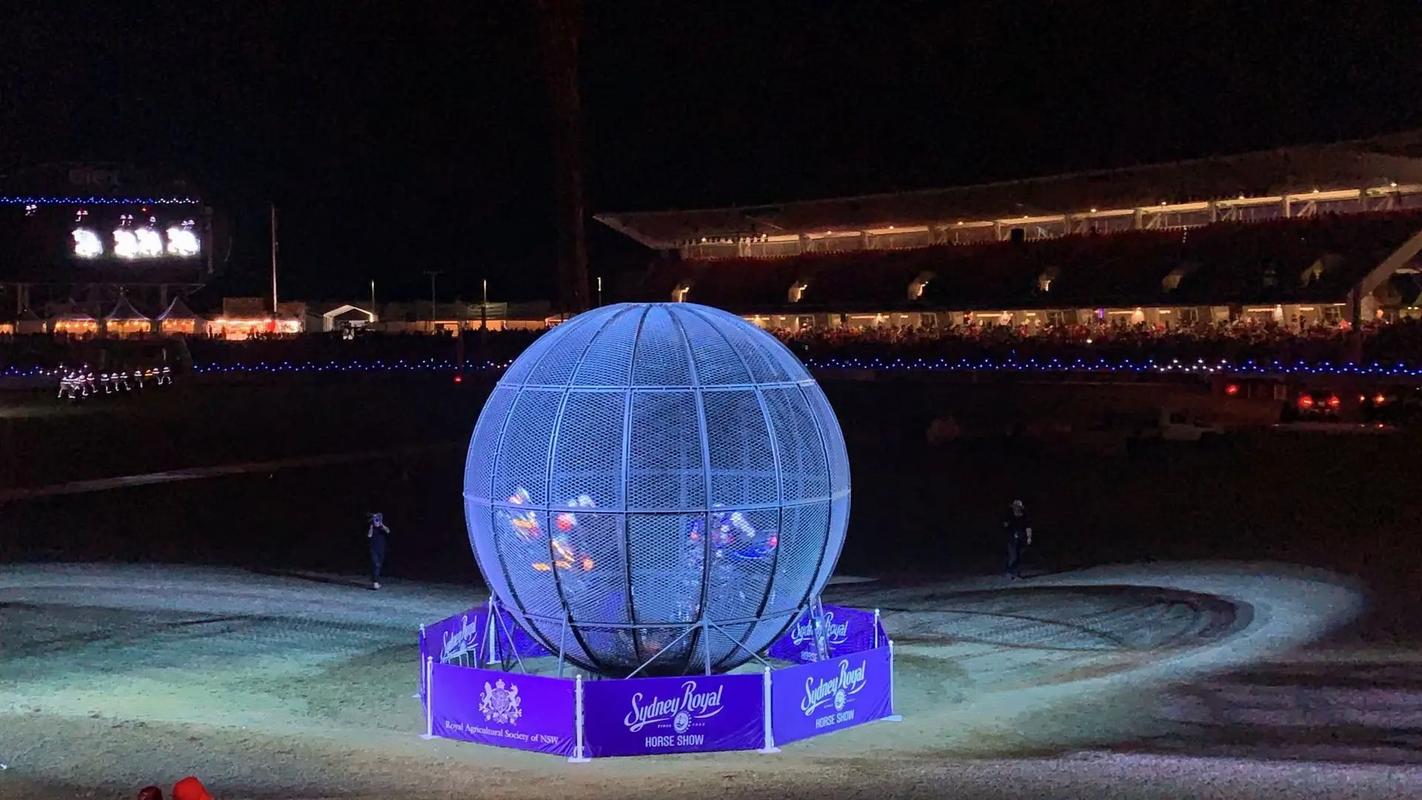 萌宠展出租马戏团鹦鹉表演.#萌宠 #神奇动物在抖音 #萌宠出