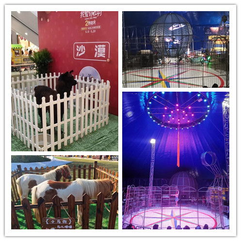 河南鹿邑市海狮表演租赁