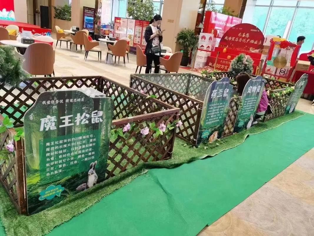 动物出租#马戏团表演出租#海狮表演出租#羊驼出