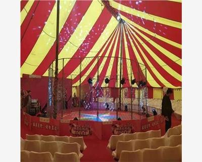 合作市马戏团表演场景一天多少钱