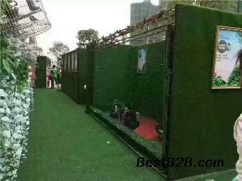 荆门市马戏团表演海狮房地产动物租赁公司