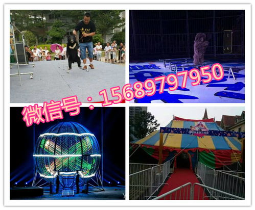 专业呆萌马戏团表演出租租赁十堰市