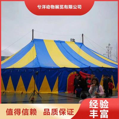 马戏团/羊驼 美人鱼表演出租技术成熟