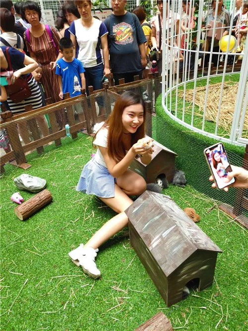 辽阳百鸟展出租优惠方便客商