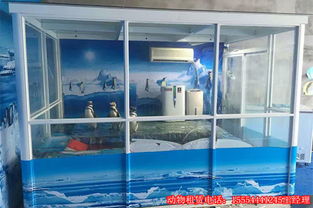 马戏表演什么价格重庆马戏团表演租赁7天多少钱