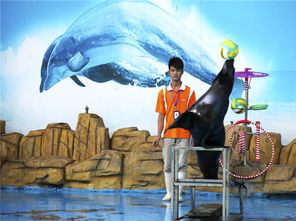 苏州马戏团租赁活动商业演出选择