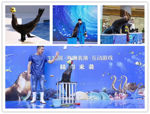 巴彦淖尔市哪里有马戏团表演出租